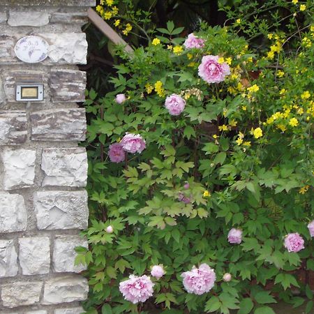B&B Il Glicine Bedizzole Exterior foto