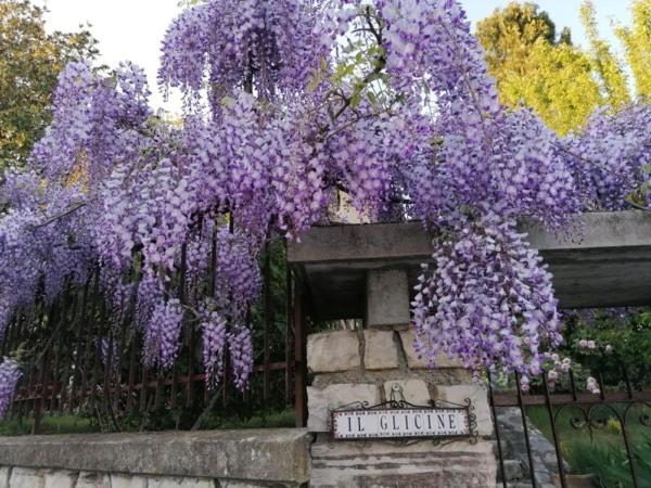 B&B Il Glicine Bedizzole Exterior foto