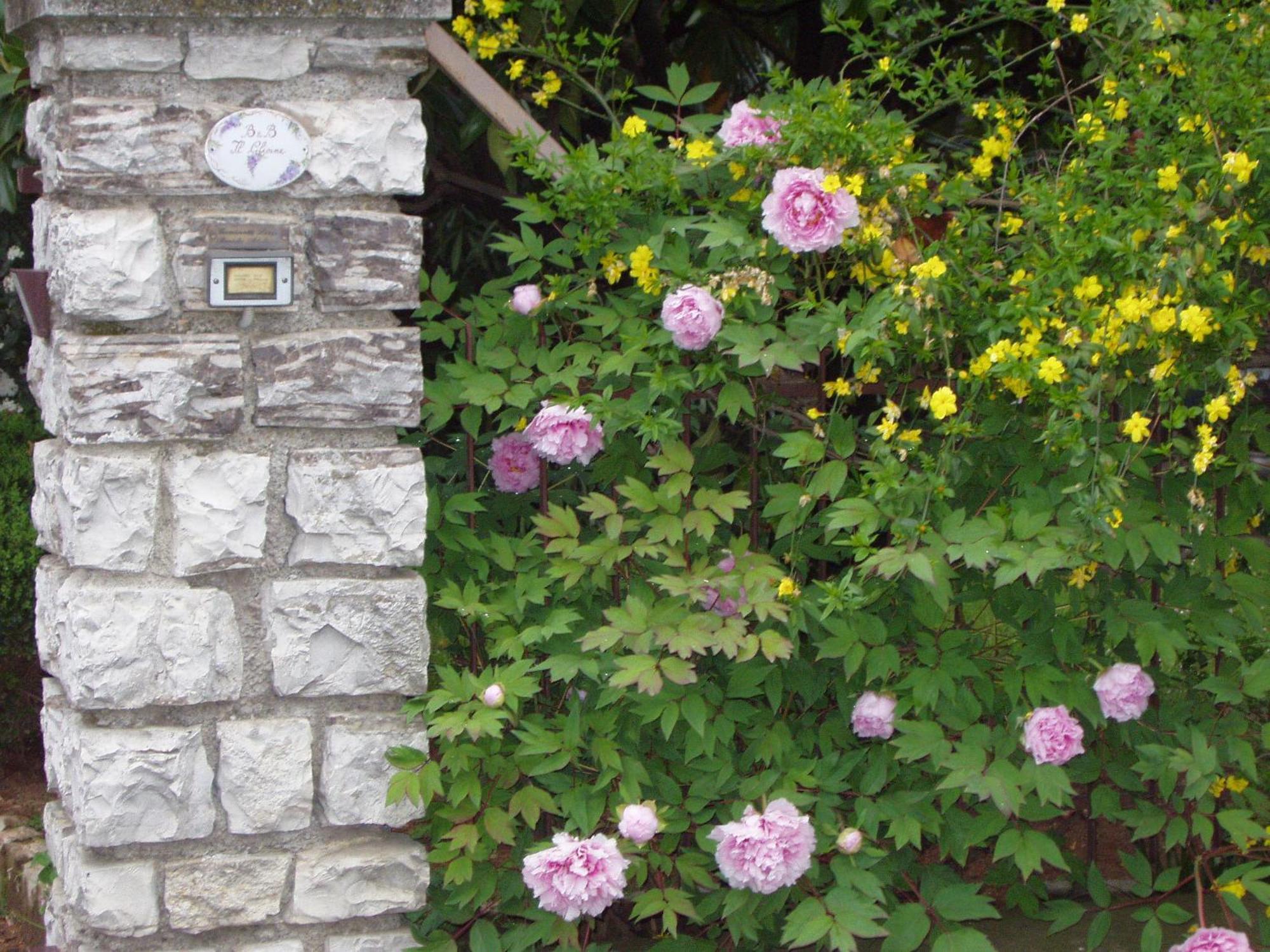 B&B Il Glicine Bedizzole Exterior foto