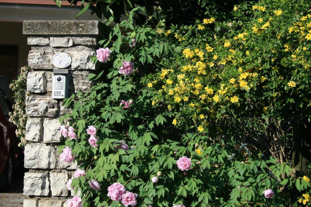B&B Il Glicine Bedizzole Exterior foto
