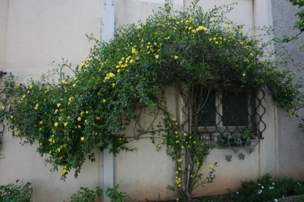 B&B Il Glicine Bedizzole Exterior foto