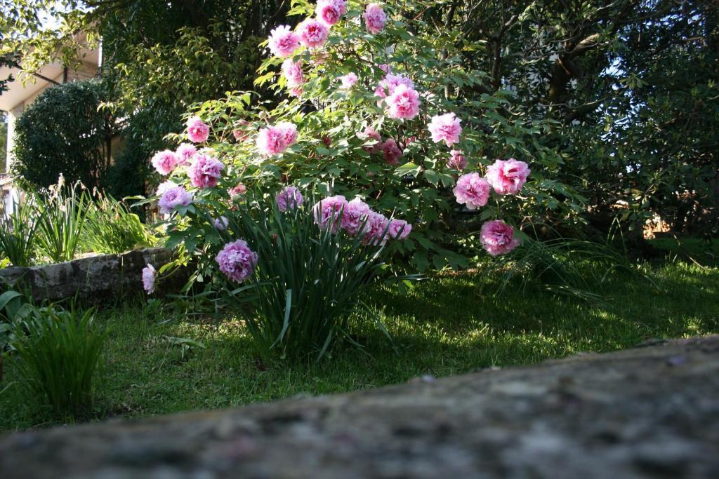 B&B Il Glicine Bedizzole Exterior foto